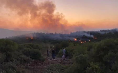 Urla’daki Orman Yangını Kontrol Altına Alındı: Yerleşim Alanları Korundu