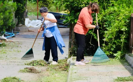 Giresun’da Plajlar Bölgesi’nde Kapsamlı Ot Biçme ve Temizlik Çalışması
