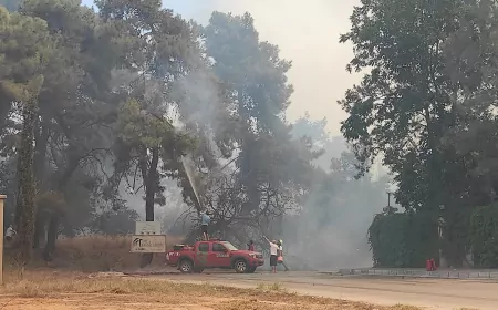 Antalya Muratpaşa’da Orman Yangını: Yerleşim Yerlerine Yakın Bölge Tehlikede