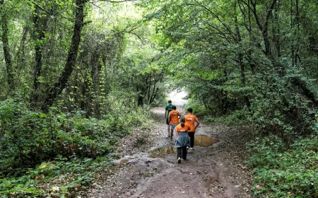 İBB’den Çocuklara Yaz Tatilinde Doğa ve Eğlence Dolu Kamp