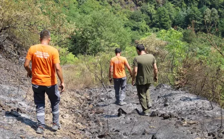 Sakarya’da Orman Yangınlarında Hayvanlar İçin Seferberlik