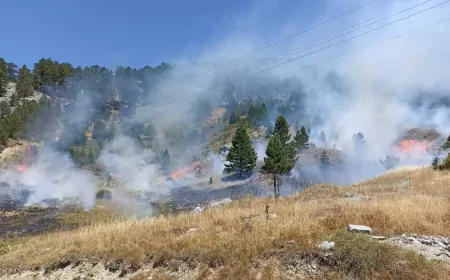 Antalya’da Yangın Alarmı: Perge Antik Kenti Yakınlarındaki Yangın Kontrol Altında