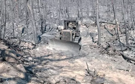 Seyitgazi Yangınında Şehit Olan 10 Kişinin Bulunduğu Alanın Görüntüleri Ortaya Çıktı