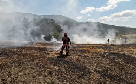 Sakarya’da 3 Ayrı Noktada Çıkan Yangınlar Kontrol Altına Alındı