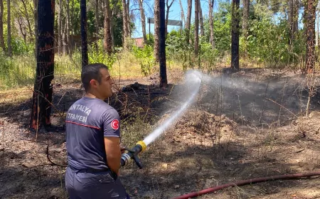 Antalya Büyükşehir’den Gazipaşa Yangınına Seferberlik