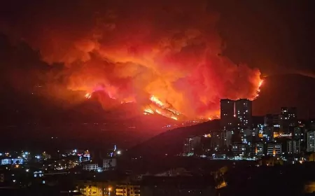 Bursa Yangınından Şehir Haberi Geldi