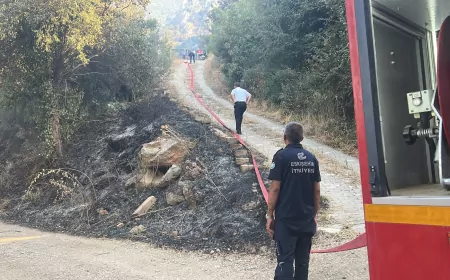 Eskişehir’den Bursa’daki Orman Yangınına Destek