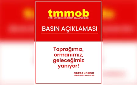 TMMOB'dan Bursa’daki Yangınlara Tepki: “Toprağımıza, Ormanımıza Sahip Çıkacağız”