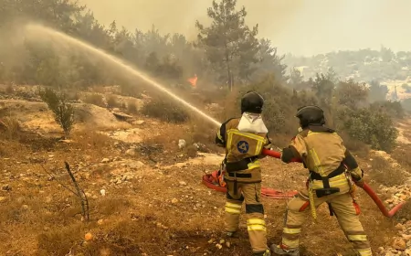 Akkuyu NGS İtfaiyesi, Mersin’deki Orman Yangınına Müdahale Etti
