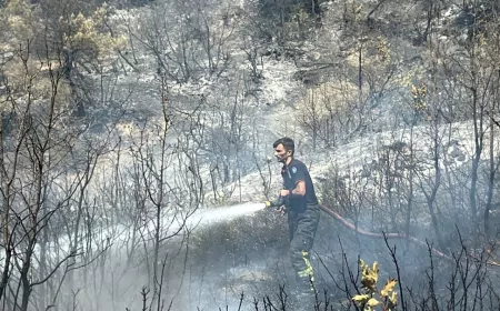 Kocaeli İtfaiyesi Bursa’daki Orman Yangınına Destek İçin Harekete Geçti