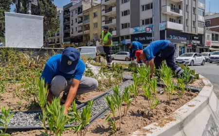 İzmir’de Yeşil Alanlara “Akıllı” Dokunuş: Daha Az Su, Daha Fazla Yeşil