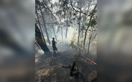Karamürsel Pazarköy’deki Orman Yangını Kontrol Altında, Soğutma Çalışmaları Sürüyor
