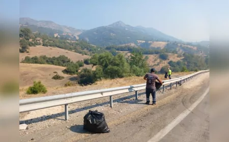 Bursa Büyükşehir Belediyesi'nden Yangın Bölgelerinde Temizlik Seferberliği