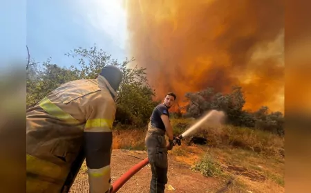 Bornova Gökdere'deki Orman Yangınına Karadan ve Havadan Müdahale Sürüyor