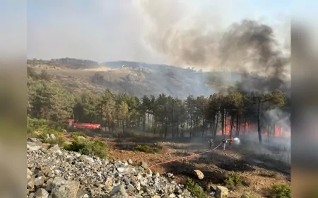 Kocaeli Büyükşehir Belediyesi’nden Bursa’daki Orman Yangınına Tam Destek