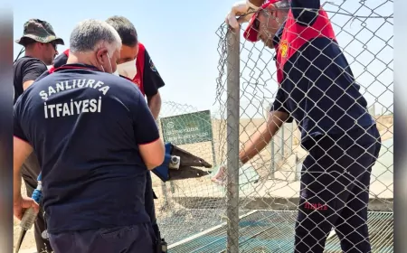 Şanlıurfa’da Sulama Kanalına Giren Genç Hayatını Kaybetti