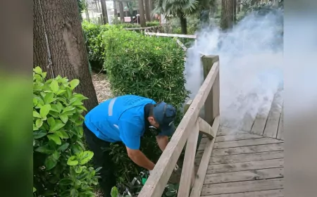 Sakarya Büyükşehir Belediyesi’nden Vektörle Mücadelede Kapsamlı Seferberlik