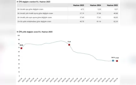 Hizmet Üretici Fiyat Endeksi Haziran’da Yıllık Yüzde 37,40 Arttı