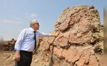 Kayalıpınar Kazılarında Bulunan 4 Tarihi Eser 'Geleceğe Miras' Sergisinde Yer Alacak