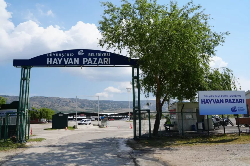 Türkiye Genelinde Hayvan Pazarları Geçici Süreyle Kapatıldı