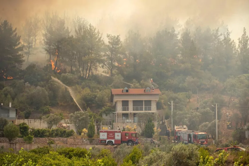 İzmir’de 300 Yangın, 10 Bin Hektar Alanı Küle Çevirdi