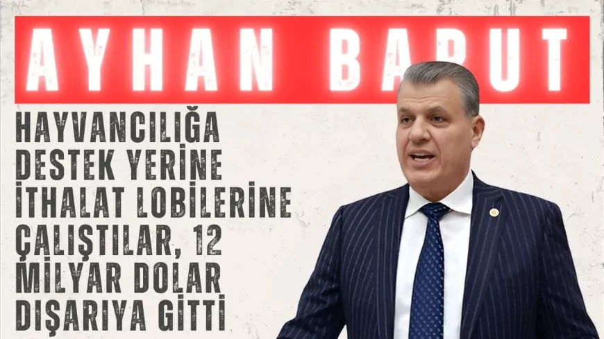 CHP’li Ayhan Barut: “Hayvancılığa destek yerine ithalat lobilerine çalıştılar, 12 milyar dolar dışarıya gitti”