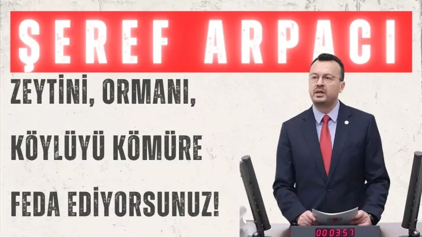 CHP'Lİ ARPACI: “ZEYTİNİ, ORMANI, KÖYLÜYÜ KÖMÜRE FEDA EDİYORSUNUZ!”