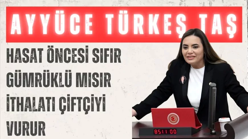 İYİ Partili Ayyüce Türkeş Taş: “Hasat öncesi sıfır gümrüklü mısır ithalatı çiftçiyi vurur”
