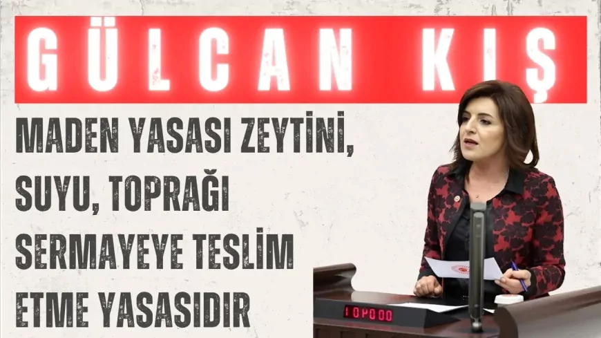 CHP’li Gülcan Kış: “Maden yasası zeytini, suyu, toprağı sermayeye teslim etme yasasıdır”