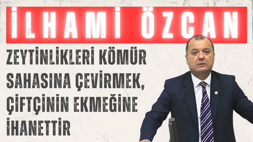 CHP’li İlhami Özcan Aygun: “Zeytinlikleri kömür sahasına çevirmek, çiftçinin ekmeğine ihanettir”