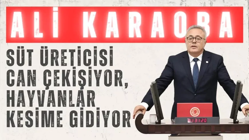 CHP’li Ali Karaoba: "Süt üreticisi can çekişiyor, hayvanlar kesime gidiyor"