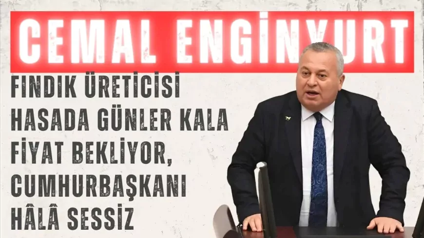 CHP’li Enginyurt: “Fındık üreticisi hasada günler kala fiyat bekliyor, Cumhurbaşkanı hâlâ sessiz”