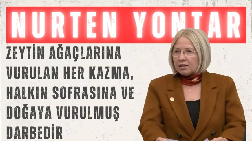 CHP’li Nurten Yontar: “Zeytin ağaçlarına vurulan her kazma, halkın sofrasına ve doğaya vurulmuş darbedir”
