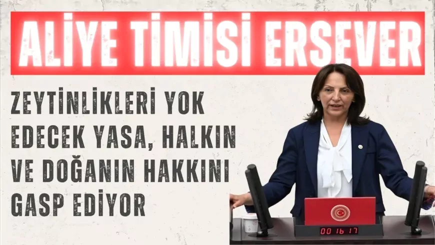 CHP’li Aliye Timisi Ersever: "Zeytinlikleri yok edecek yasa, halkın ve doğanın hakkını gasp ediyor"