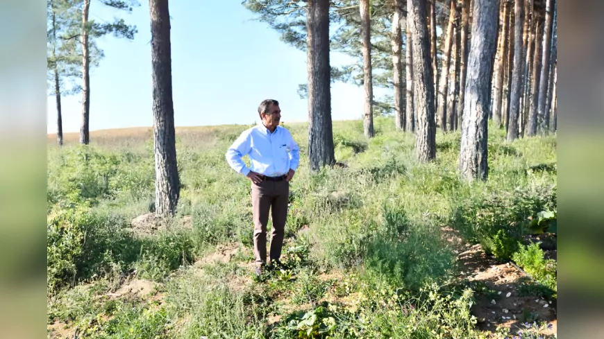 Başkan Ataç’tan Maden Yasasına Tepki: “Türkiye Maden Çöplüğüne Dönüşmemeli”