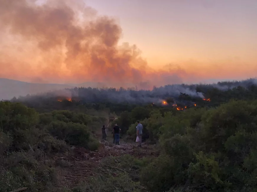 Urla’daki Orman Yangını Kontrol Altına Alındı: Yerleşim Alanları Korundu