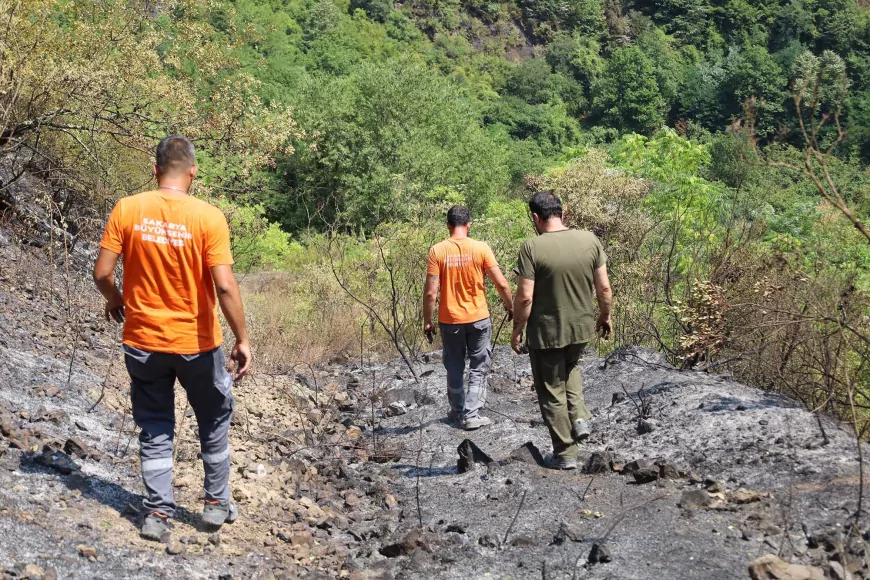 Sakarya’da Orman Yangınlarında Hayvanlar İçin Seferberlik
