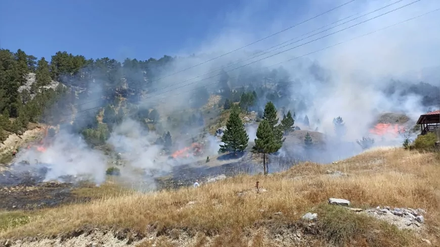 Antalya’da Yangın Alarmı: Perge Antik Kenti Yakınlarındaki Yangın Kontrol Altında
