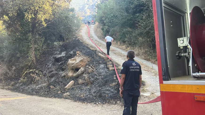 Eskişehir’den Bursa’daki Orman Yangınına Destek