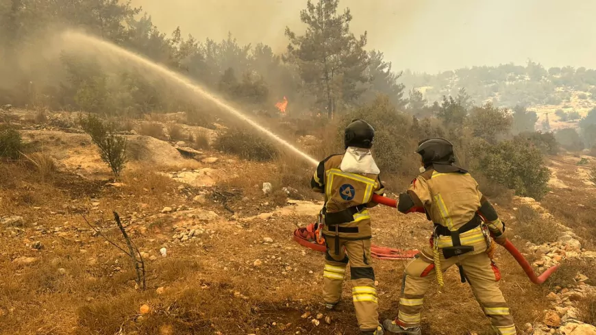 Akkuyu NGS İtfaiyesi, Mersin’deki Orman Yangınına Müdahale Etti