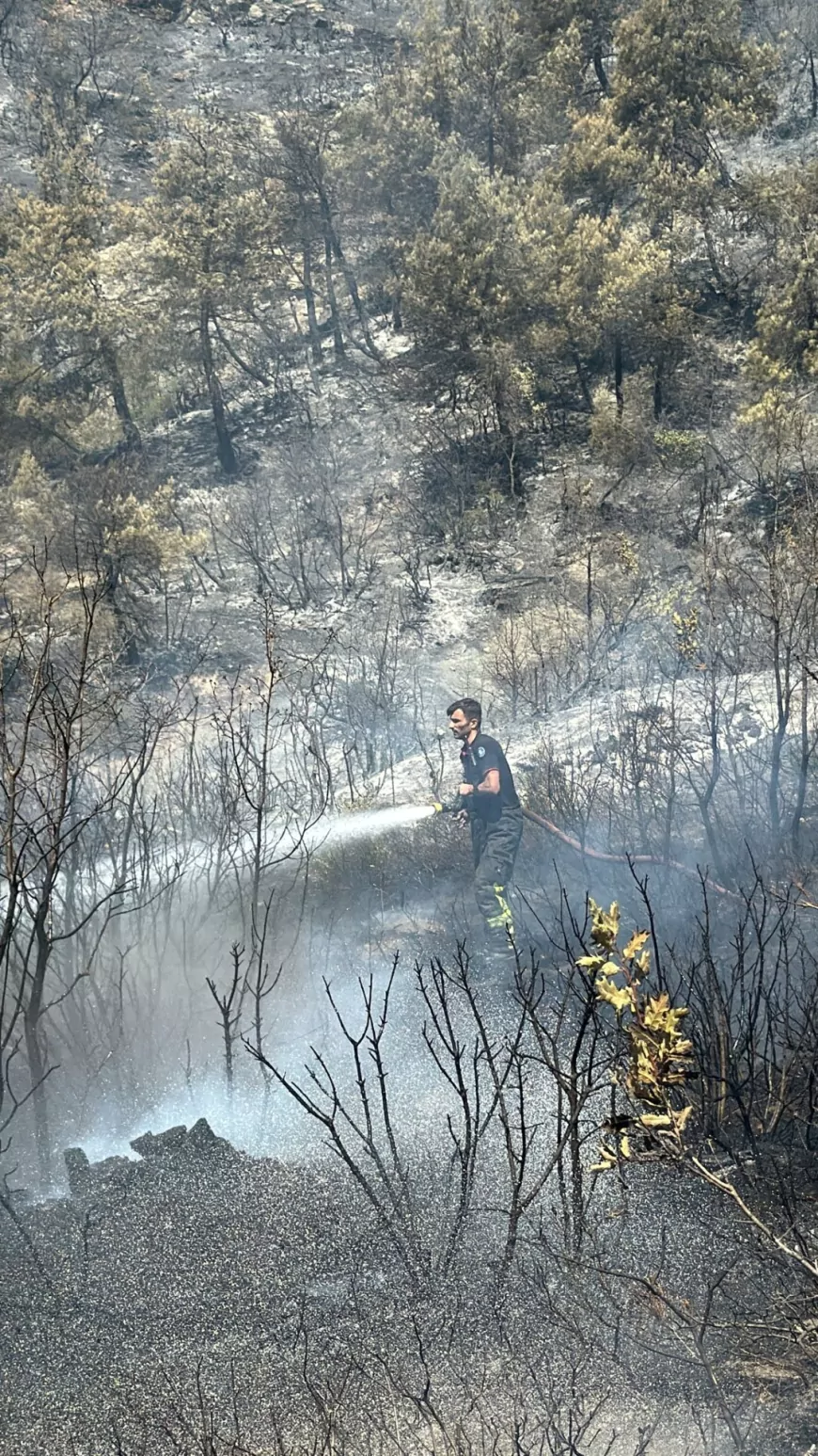 Kocaeli İtfaiyesi Bursa’daki Orman Yangınına Destek İçin Harekete Geçti