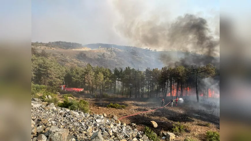 Kocaeli Büyükşehir Belediyesi’nden Bursa’daki Orman Yangınına Tam Destek