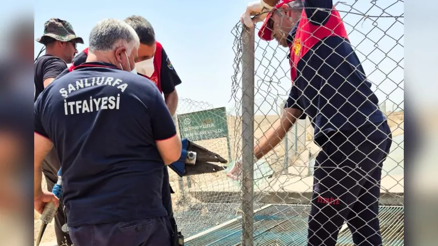 Şanlıurfa’da Sulama Kanalına Giren Genç Hayatını Kaybetti