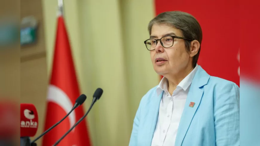 CHP'li Şahbaz: "Tutuklu ve Mahkumlar Eşit ve Zamanında Sağlık Hizmetine Ulaşmalıdır"