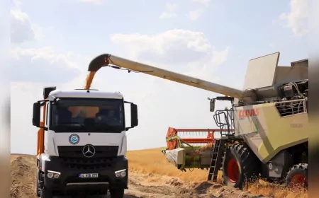 Eskişehir Büyükşehir’den Kuru Tarımla Çiftçiye ve Kent Lokantalarına Destek