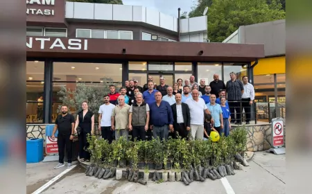 Alevlerin Ardından Umut Yeşerdi: Kocaeli Büyükşehir'den Geyve’ye Fidan Desteği