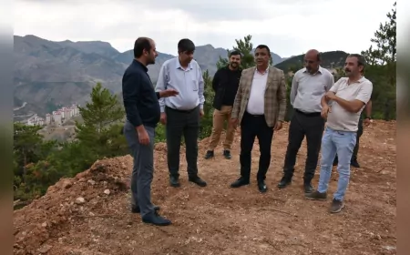 Gümüşhane’de Sokak Hayvanlarına Doğayla Uyumlu Yaşam Alanı Kuruluyor