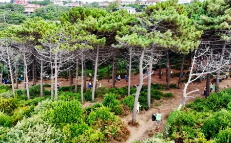 Beykoz’da Orman Yangınlarına Karşı El Ele