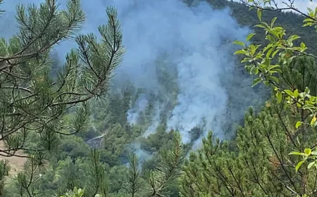 Bolu’da Orman Yangını 1,5 Saatte Kontrol Altına Alındı
