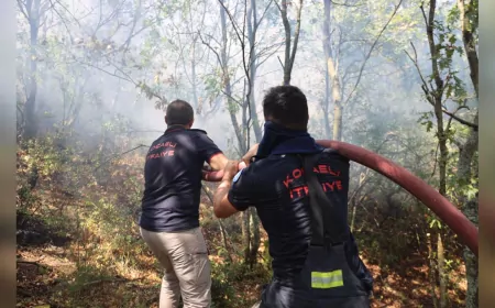Karamürsel Yangınına Büyükşehir’den Seferberlik